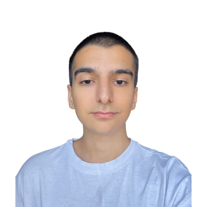 საბა გაბიტაშვილი